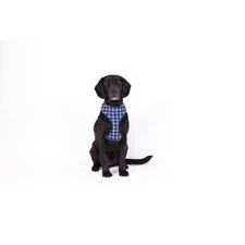 Mog & Bone Neoprene Dog Harness (Navy Check) - Large