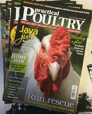 Magazine fancy fowl (monthly) (9770262384606)