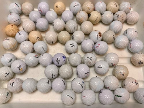 Around 75 used Golf Balls Lot Precept Noodle, Dunlop Pinnacle great for practice - Imagen 7 de 10
