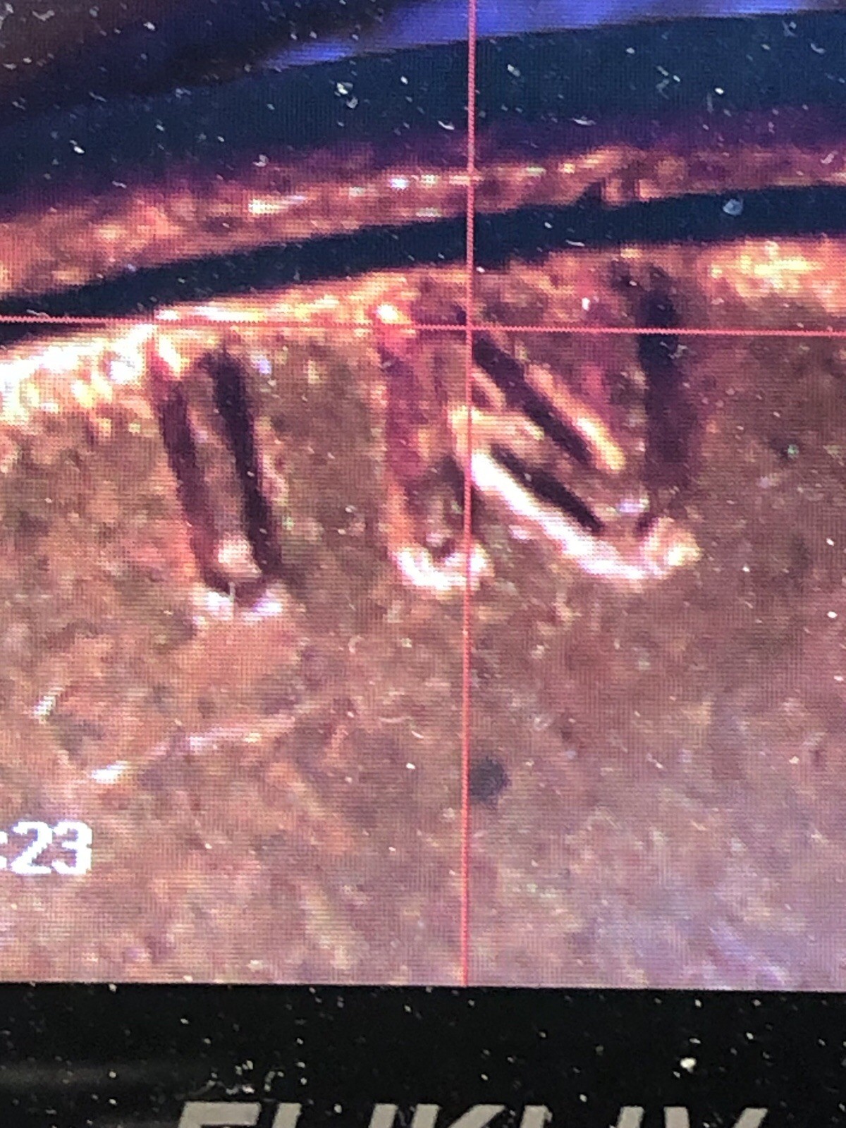 Picture 8 of 22
