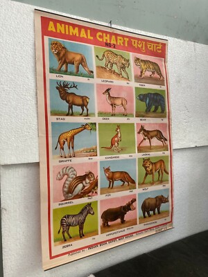 OLD VINTAGE FOREST ANIMAL MULTI COLOR BIG PRINT WALL HANGING CHART