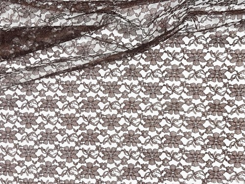 Light Weight Floral Raschel Lace Fabric- 60" Wide By the Yard - Picture 34 of 36