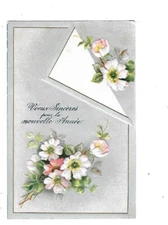 2 postcards old postcard embossed anemones and hand painted thoughts