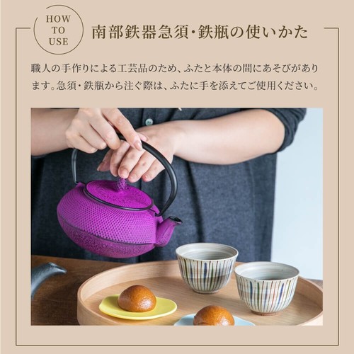 LOGI Nambu Ironware Teapot (Arare Dome 0.4L -Purple) Made in Japan New - Picture 5 of 12