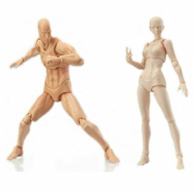 S.H.Figuarts Figma CHAN & KUN Male Female PVC Movable Figure Body