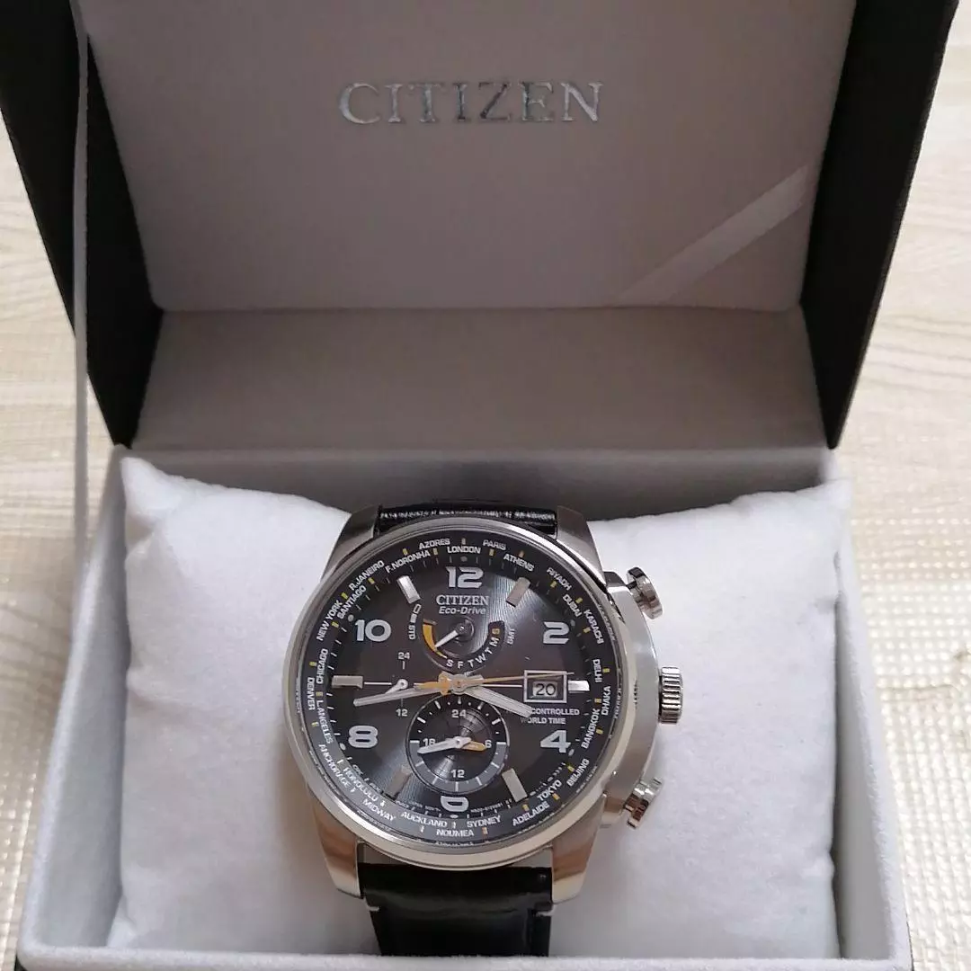 Citizen Eco-Drive AT9018-00E Radio Controlled World Time SS Solar