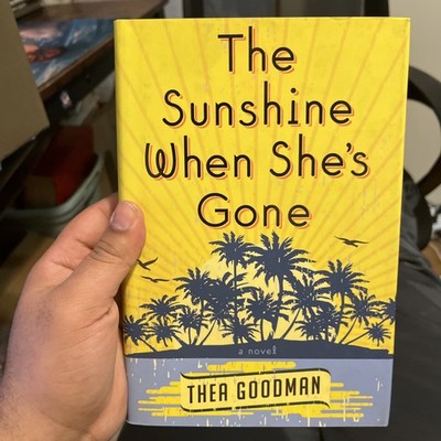 Sunshine When She's Gone by Thea Goodman (2013, Hardcover)