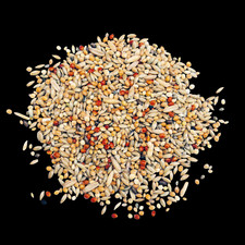 Wellensittichfutter TOP 10 kg Vogelfutter Sittichfutter Ziervogelfutter Premium