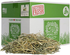 Oat Hay Pet Food, 20 Lb.