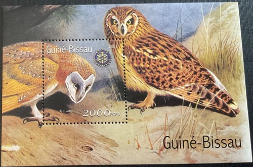 GUINEA BISSAU 2001. Aves. Rotary Club.1 Hoja Bloque 9 sellos + 2 HB 1 sello. MNH - Imagen 3 de 4