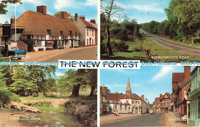 R683766 The New Forest. Ringwood. J. Salmon. Multi View