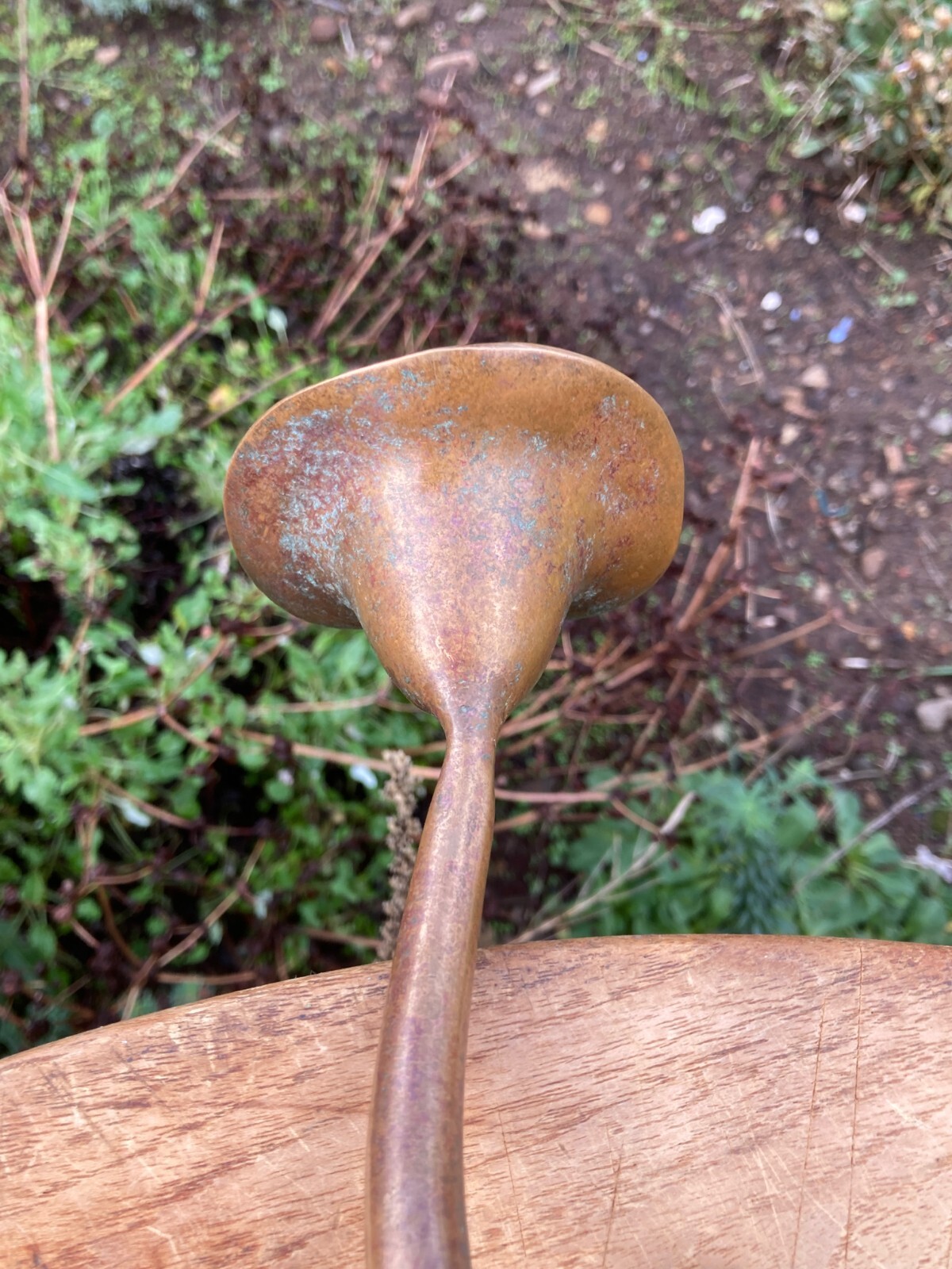 Picture 5 of 11
