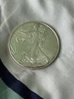 2019 American Eagle Silver Dollar, Walking Liberty Uncirculated/Slight Toning