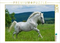 Calvendo Puzzle Lipizzaner Stallion | 1000 Pieces, Finished Size 25.2 × 18.9 In