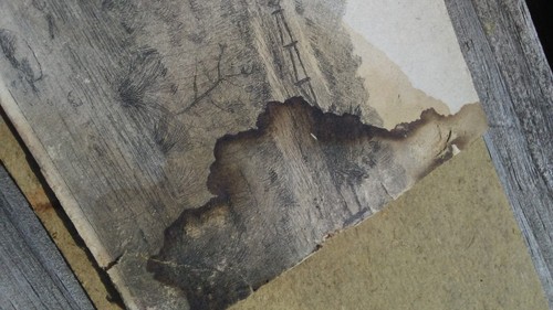 1800s Antique Etching Print *Damaged* - Picture 4 of 13