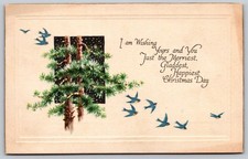Antique Christmas Postcard Gibson Art Co. Birds Pine Tree Bowie Maryland AA541