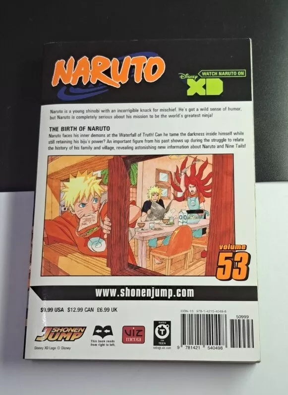 Naruto, Vol. 53: The Birth of Naruto by Kishimoto, Masashi