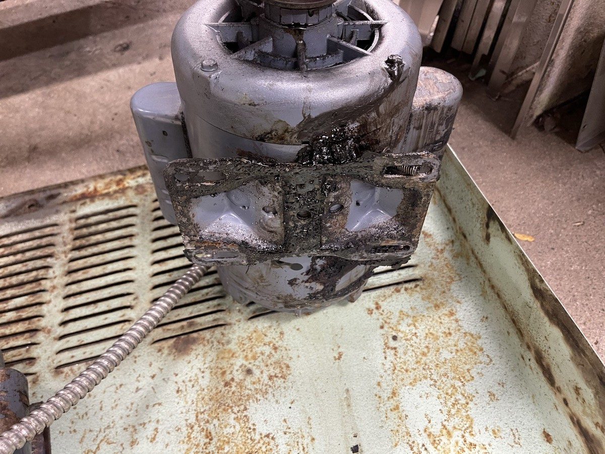 テイラー Taylor Ice Cream Machine Motor 021522-27L / 089459-27 Singe Phase