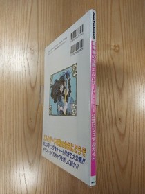 Mysterious World EL-HAZARD Official Guidebook for SEGA Saturn Free Shipping