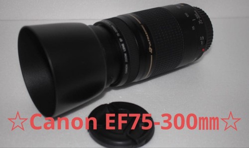 telephoto lens Canon with hood Canon EF75 300mm