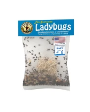 NaturesGoodGuys - Live Ladybugs - General predators