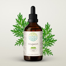 HerbEra Mugwort Alcohol-FREE Herbal Tincture, Artemisia vulgaris 