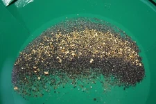 3 POUNDS Rich Unsearched Gold Paydirt - gold panning concentrates ADDED GOLD!