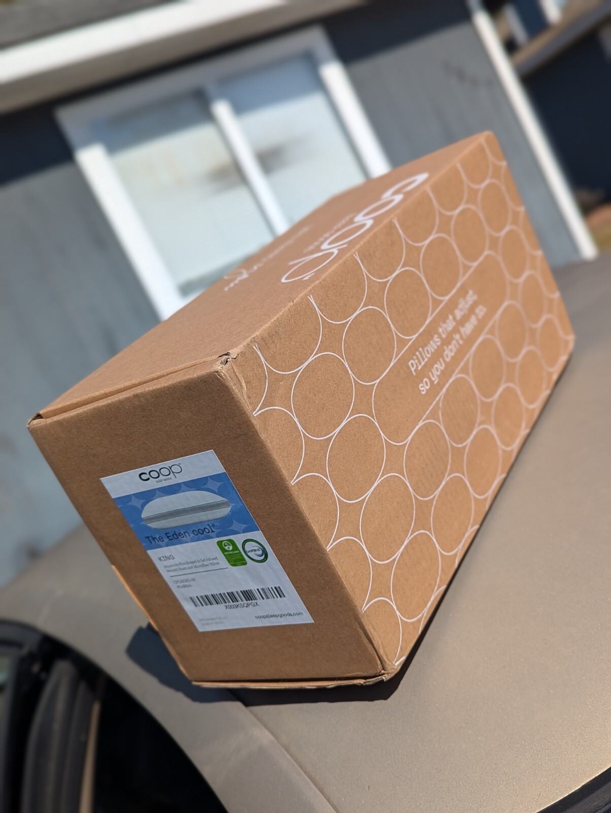 Coop Home Goods The Eden Cool+ Adjustable Plus Size Pillow (King Size