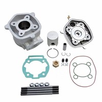 Obere MotorhäLfte 50 Mit Malossi MHR Sport FüR Derbi 50 Senda 2006+, GPR 2006+