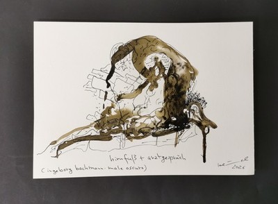 zeichnung, nach ingeborg bachmann, male oscuro, hirnfuß + arztgespräch, unikat