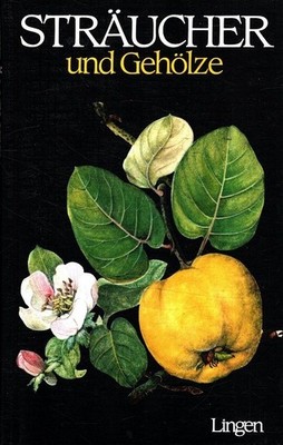Sträucher und Gehölze Illustrationen von J. Kaplicka Pokorny, J. und Erich F. El