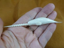 Whale-w127 little white Narwhal Whale of shed ANTLER figurine Bali sea unicorn