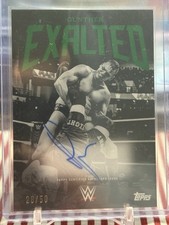 2025 Topps Exalted WWE Black White Gunther Auto Green /50