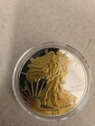 Silver Round 1 oz 24karet Gold