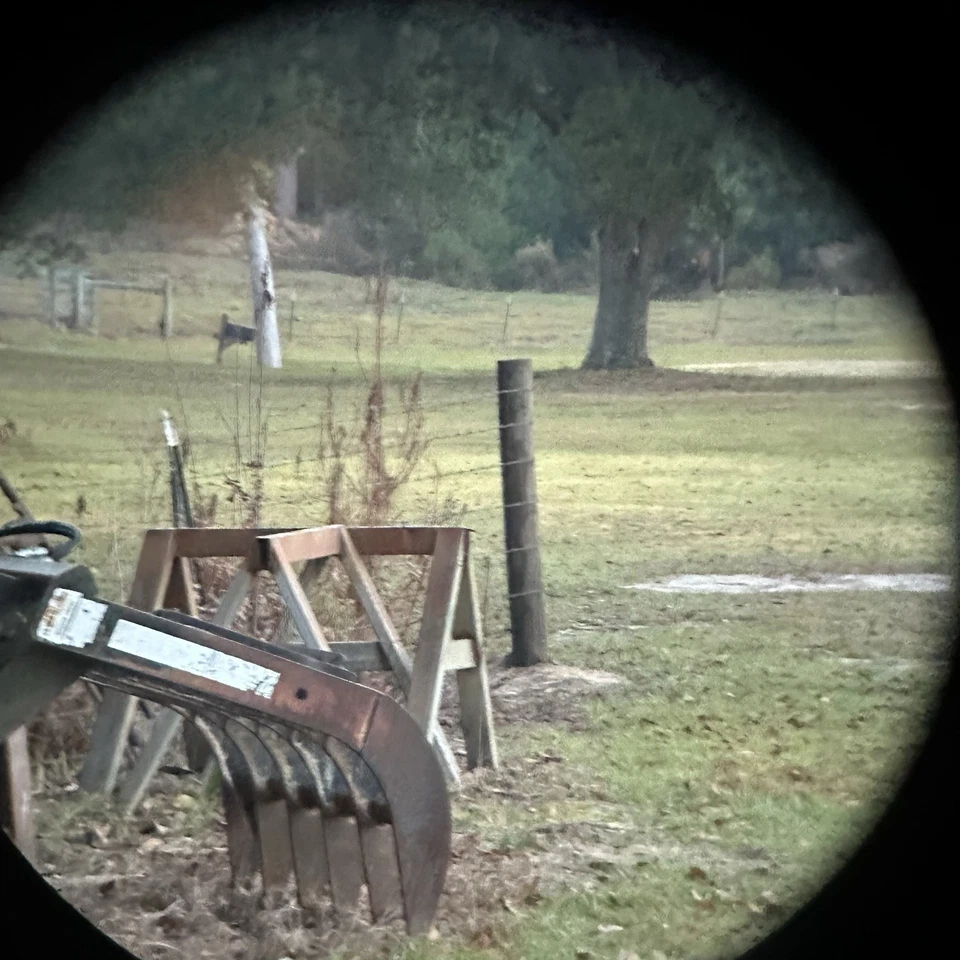Carl Zeiss Jena 8x30 Binoculars – Vintage German Optics w/ Case & Paperwork NICE - Image 2 of 4