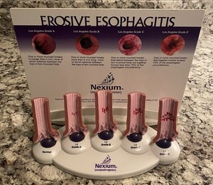 Nexium Erosive Esophagitis Pharmaceutical Display Model