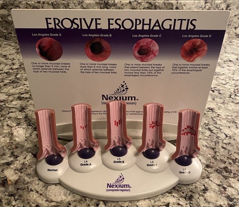 Nexium Erosive Esophagitis Pharmaceutical Display Model