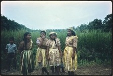 Kodak Ektachrome 35mm Film Slide Vintage Original Color