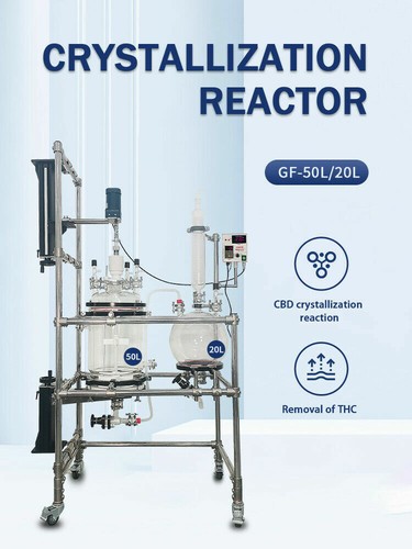 50L Lab Industrial Crystallization Reactor Jacketed Glass Reactor 110V 220V - Afbeelding 7 van 11