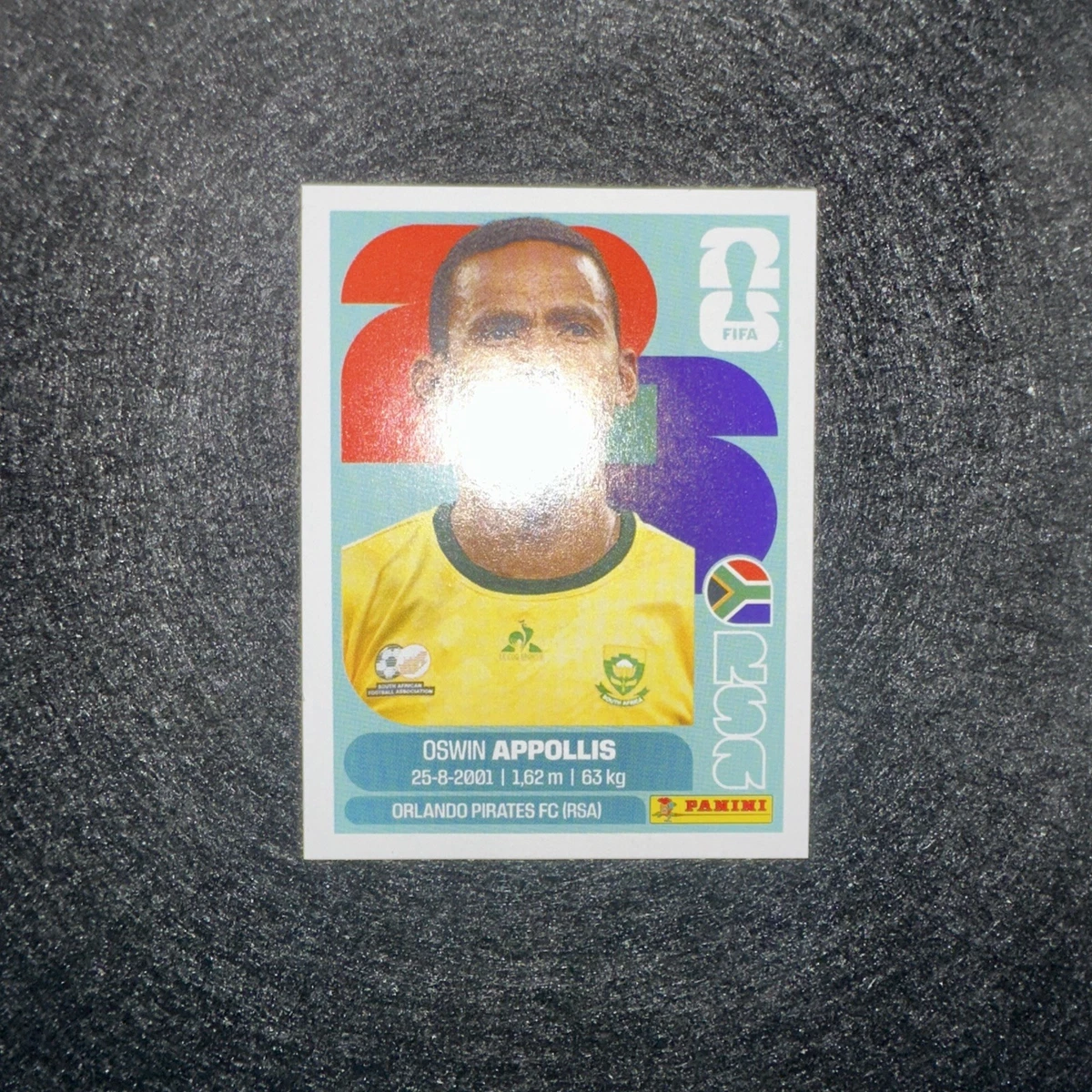 FIFA World Cup Soccer South African Sports Trading Cards