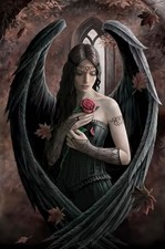 Anne Stokes Angel Rose Wicca Fantasy Artwork Blank Birthday Greeting
