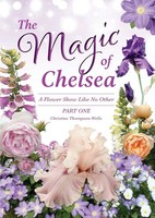 The Magic Of Chelsea - Part One Christine Thompson-Wells Taschenbuch Englisch
