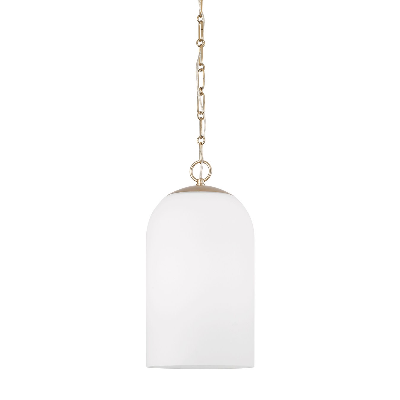 Brass Cleo 9W Pendant Light by Capital Lighting 355811-554