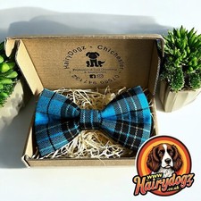 Handmade Dog Bow Tie With Collar Attachment Turquoise & Gold Tartan