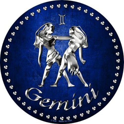 Gemini Twins Zodiac Sign 12