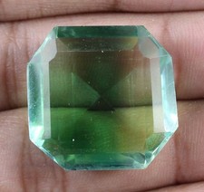40.95 Carat Brazilian Bi-Color Tourmaline Octagon Gemstone Certified T14947