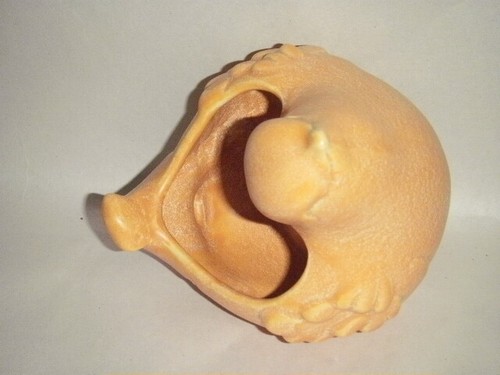 CANTO PÁJARO NARANJA MUY LINDO CASCO PLANTADORA DE CERÁMICA ACABADO MATE F474 PLUMA - Imagen 6 de 11