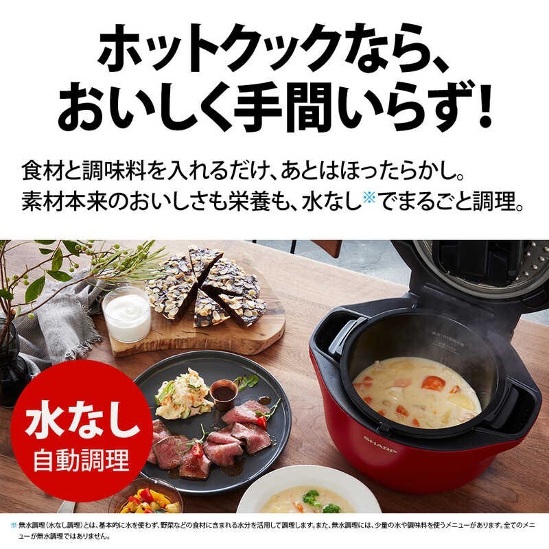 Sharp HEALSIO Hot Cook KN-HW24G 2.4L Red Auto Cook AC100V Japan | eBay