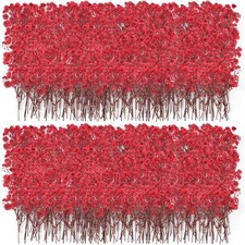 Coume 100 Pcs Dried Baby Breath Flowers, Red Mini Natural Gypsophila Dried Pr...