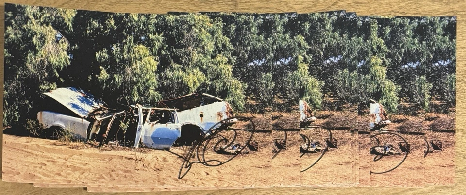 Tame Impala Deadbeat Exclusive Cassette & CD Bundle & SIGNED Art Card Autograph - Image 4 of 4